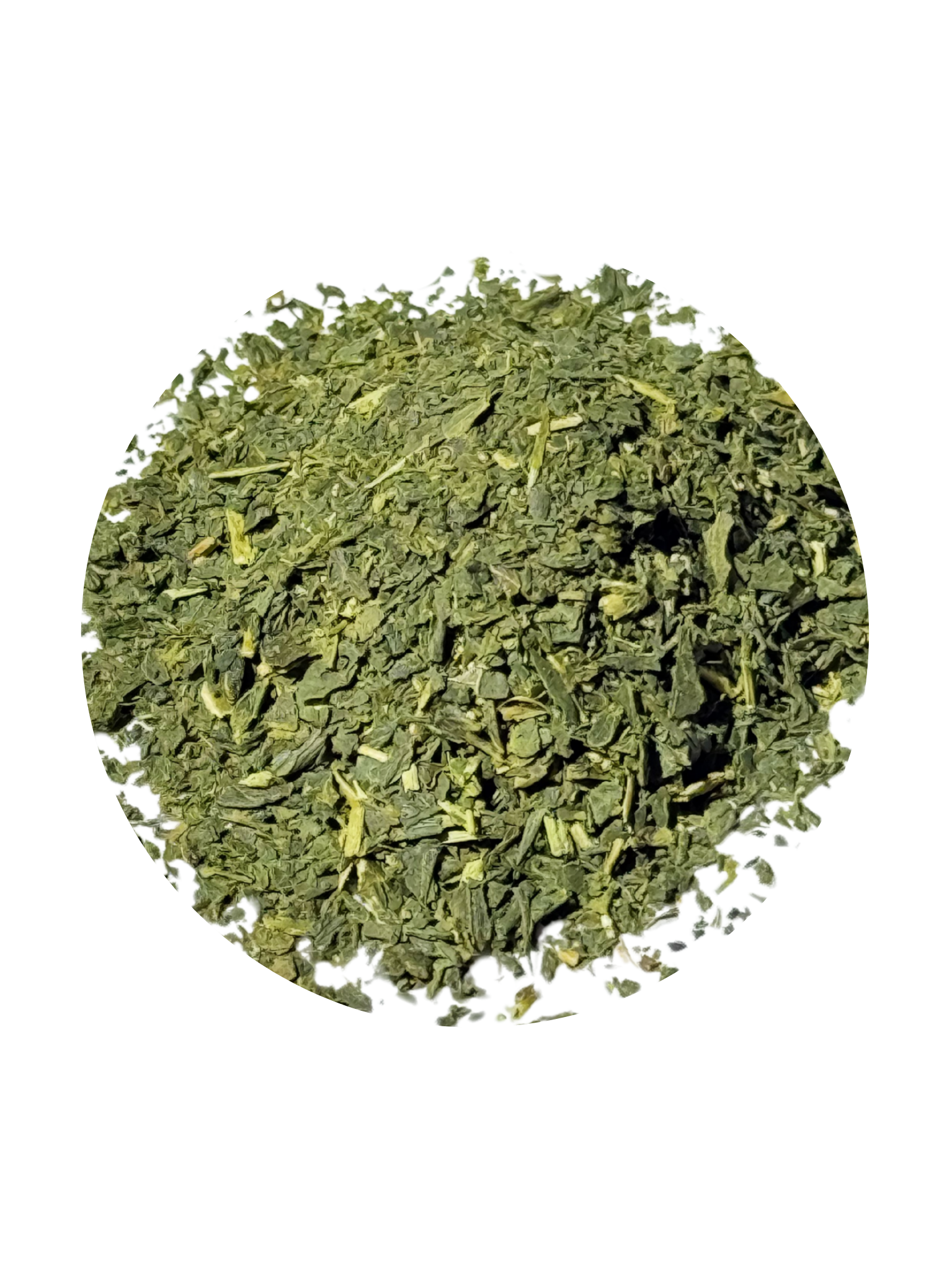 Itoen Oi Ocha Premium Matcha Green Tea